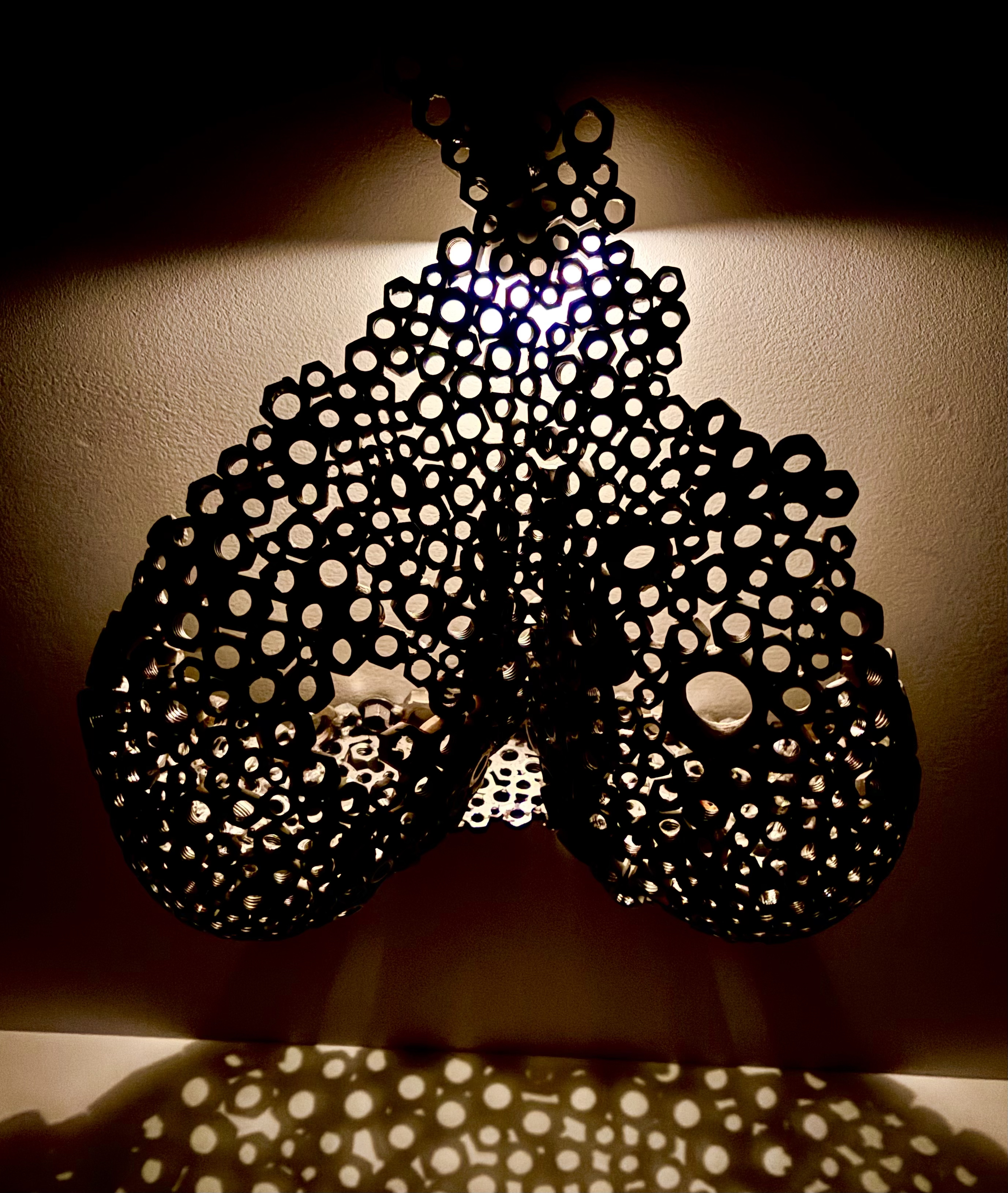 IMG_2783 copy
